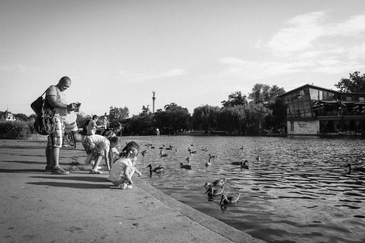 Fotografía en blanco y negro de un adulto y varios niños dando de comer a los patos en la orilla de un estanque