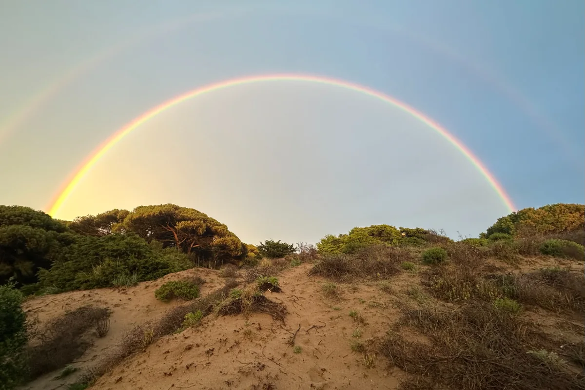 Arcoíris completo sobre unas dunas de arena con pinos y matorral, bajo un cielo azul claro al atardecer