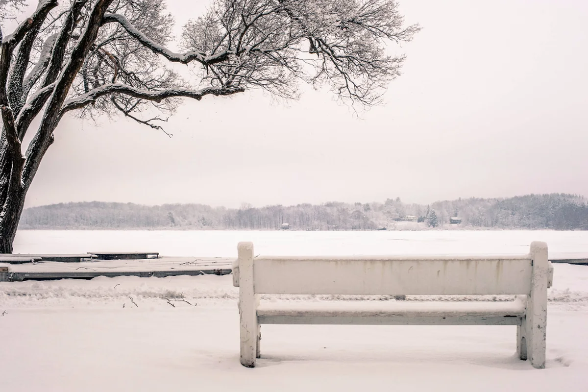 Banco blanco vacío cubierto de nieve frente a un lago helado, con un árbol sin hojas a un lado