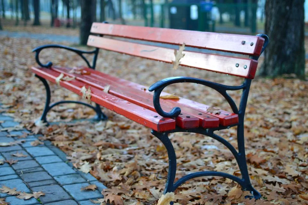 Banco de madera rojo con patas de hierro en un parque cubierto de hojas secas de otoño