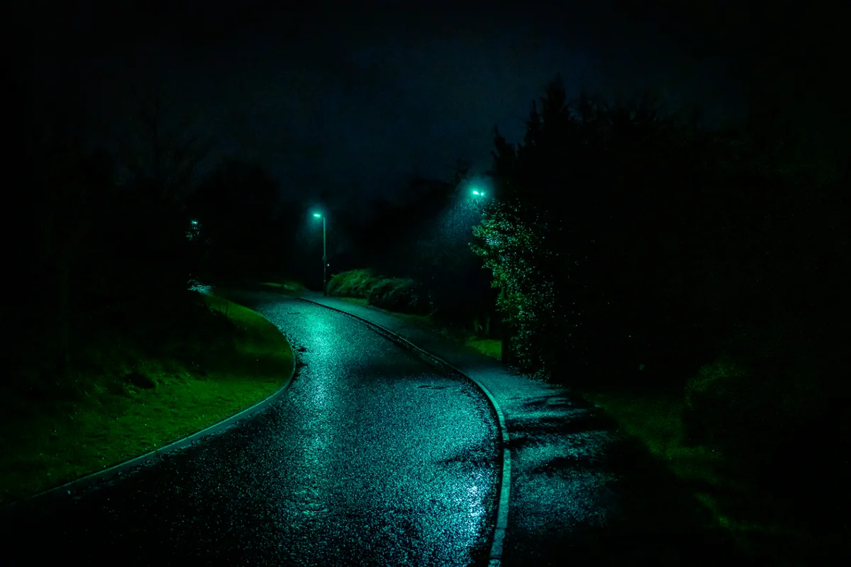 Camino asfaltado y mojado que se curva entre árboles de noche, iluminado por la luz verdosa de dos farolas