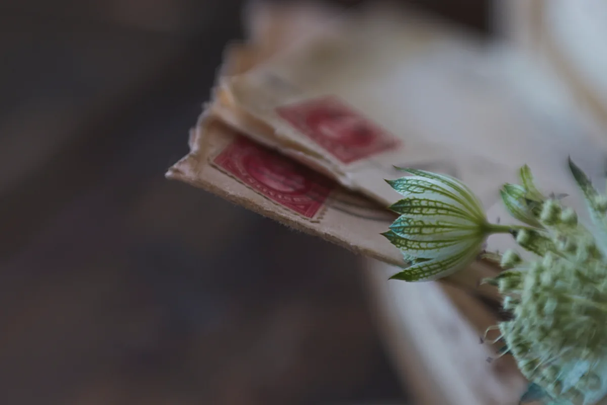 Primer plano de un montón de cartas antiguas con sellos rojos junto a una flor silvestre, con el fondo desenfocado