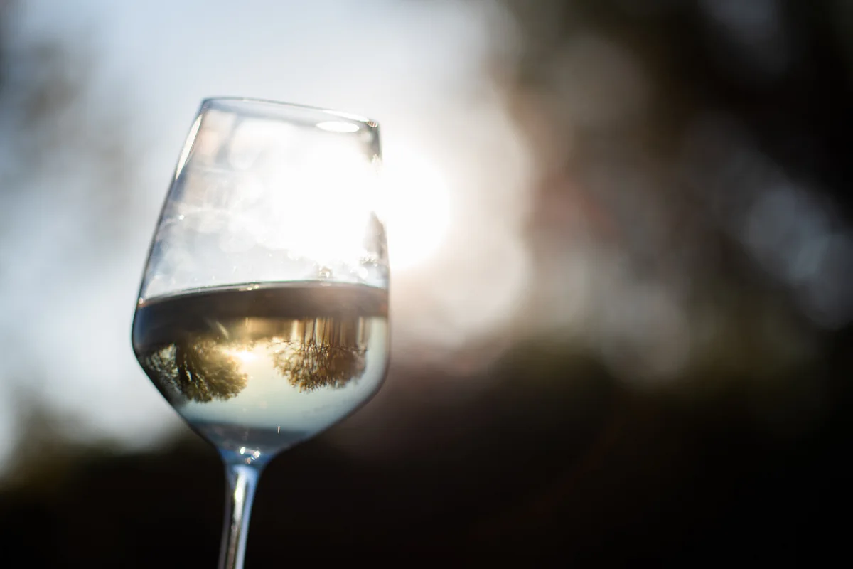 Copa de vino blanco a contraluz con el sol de la tarde detrás y un fondo oscuro desenfocado