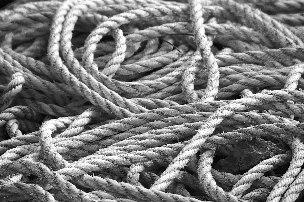 Montón de cuerdas gruesas enredadas entre sí, fotografiadas de cerca en blanco y negro
