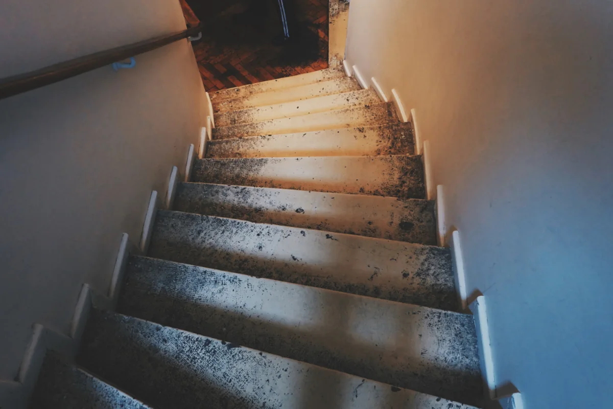 Una escalera interior estrecha vista desde arriba, con peldaños gastados iluminados por una luz cálida y un pasamanos en la pared