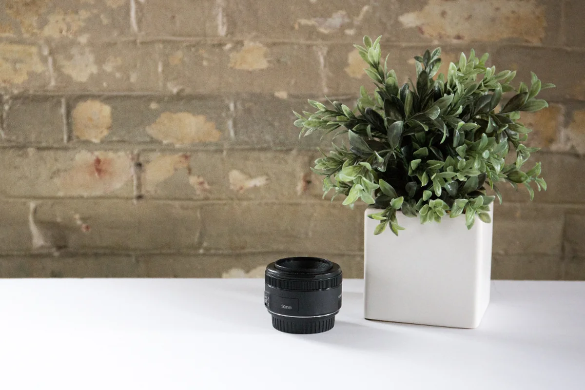 Escritorio ordenado con una planta y luz natural de tarde, ambiente tranquilo sin personas