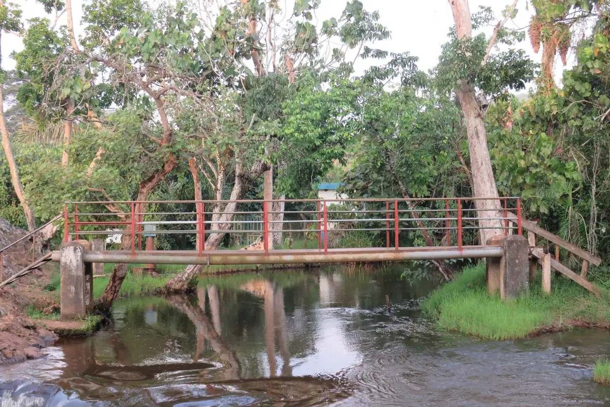 Puente metálico con barandilla roja cruzando un río rodeado de vegetación