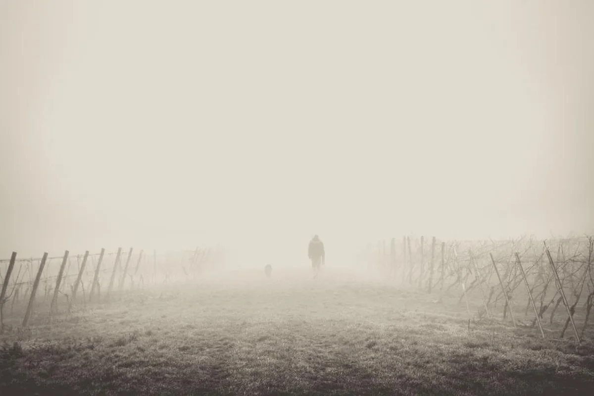 Silueta lejana de una persona caminando con un perro por un camino de campo cubierto de niebla espesa
