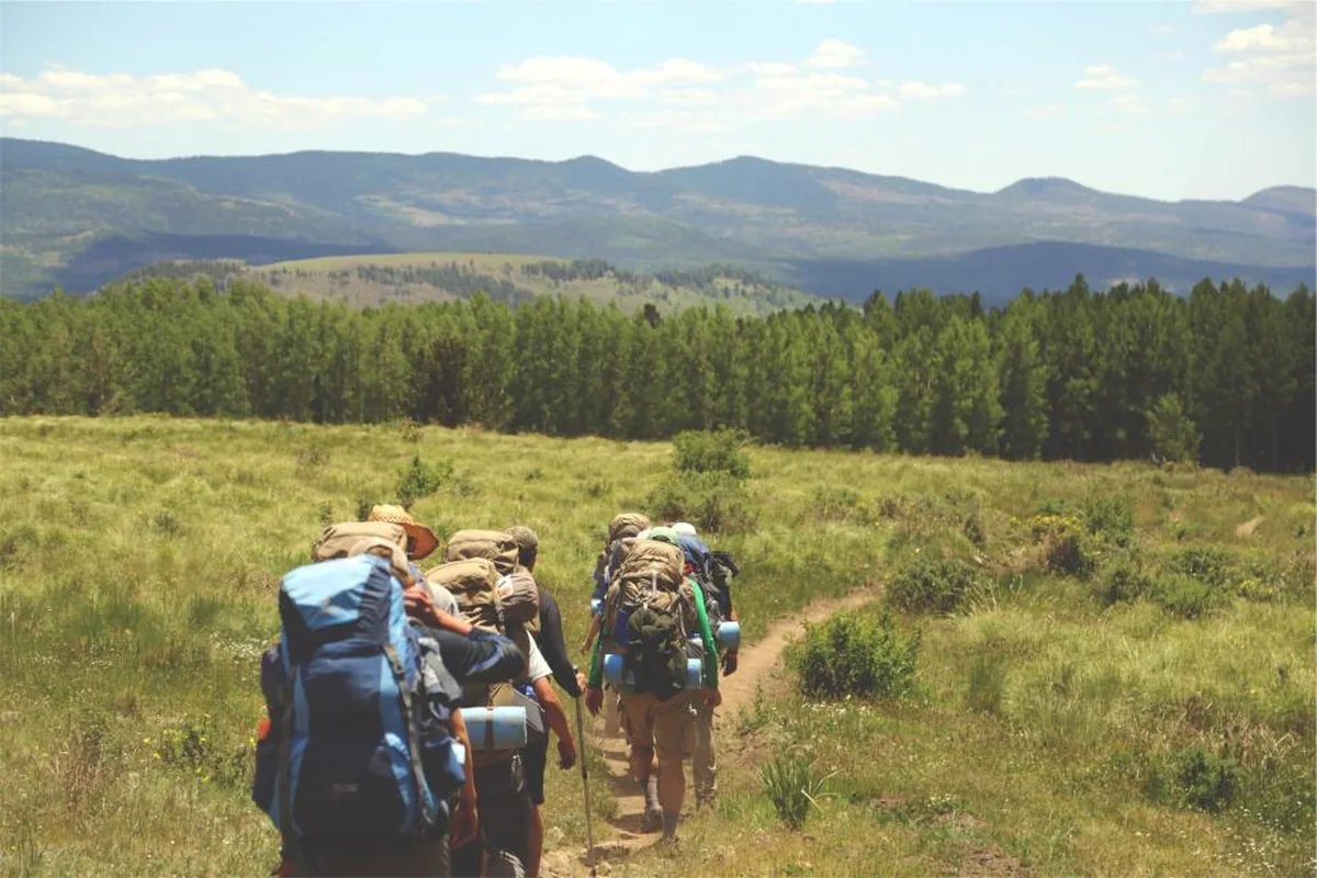 Grupo de caminantes de espaldas con mochilas grandes avanzando por un sendero entre hierba, con montañas al fondo
