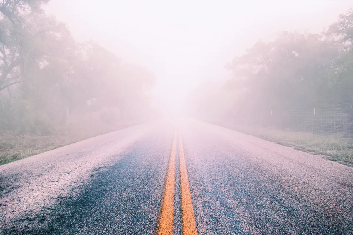 Carretera envuelta en niebla con luz filtrándose entre los árboles