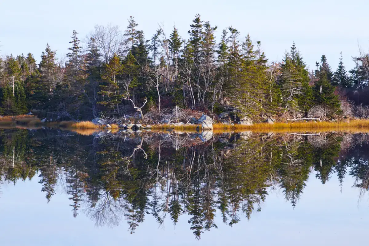 Lago en calma que refleja como un espejo una orilla de pinos y árboles sin hojas bajo un cielo claro
