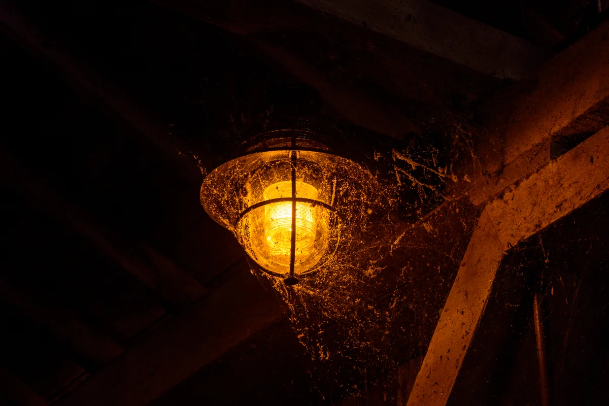 Aplique de luz cálida encendido bajo unas vigas de madera, rodeado de oscuridad