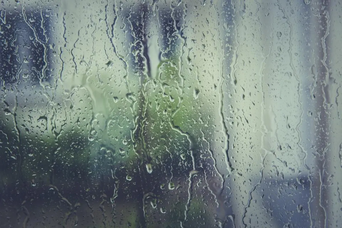 Gotas de lluvia resbalando por el cristal de una ventana con un fondo verde y gris desenfocado