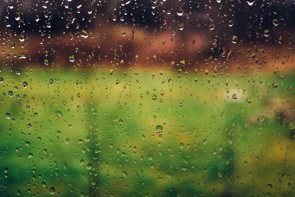 Gotas de lluvia sobre un cristal con un campo verde desenfocado al fondo