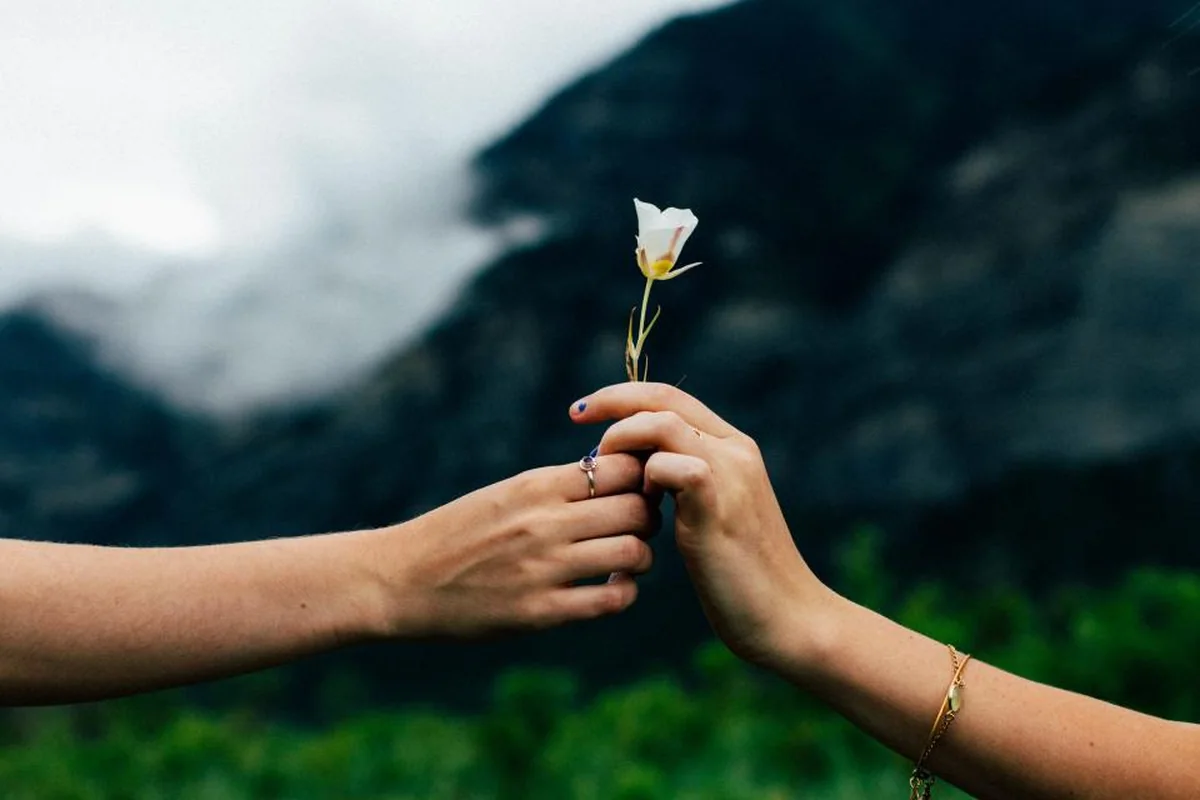 Una mano ofrece una pequeña flor blanca a otra mano que la recoge, sobre un fondo desenfocado de montaña con niebla y vegetación verde