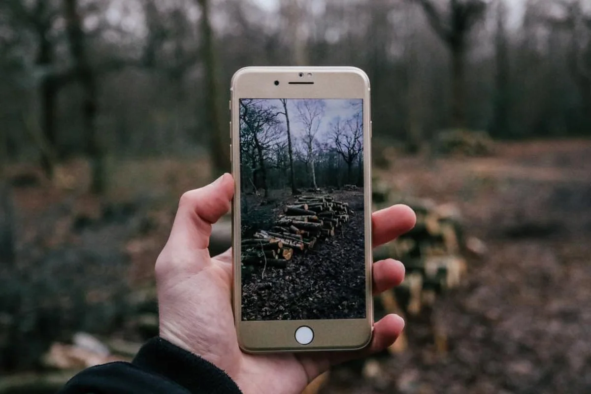 Una mano sujeta un móvil en un bosque de árboles sin hojas, con la pantalla mostrando una foto del mismo paisaje