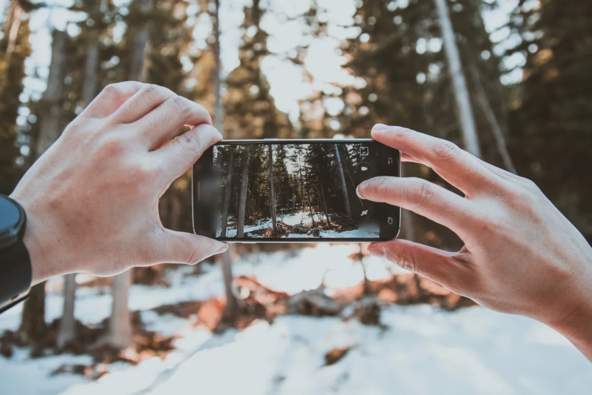 Dos manos sujetan un móvil en horizontal para fotografiar un bosque de pinos con nieve en el suelo