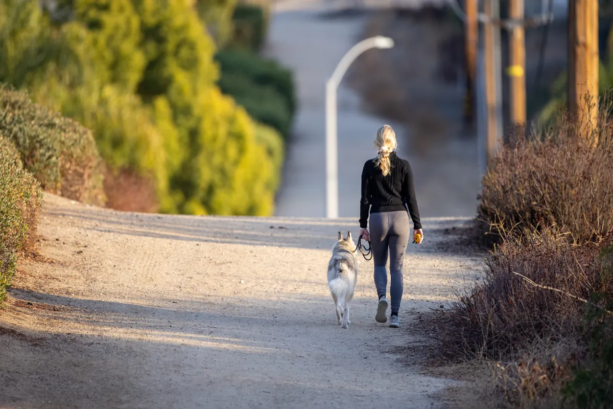 Mujer de espaldas con ropa deportiva paseando a un perro husky por un camino de tierra entre arbustos y una farola