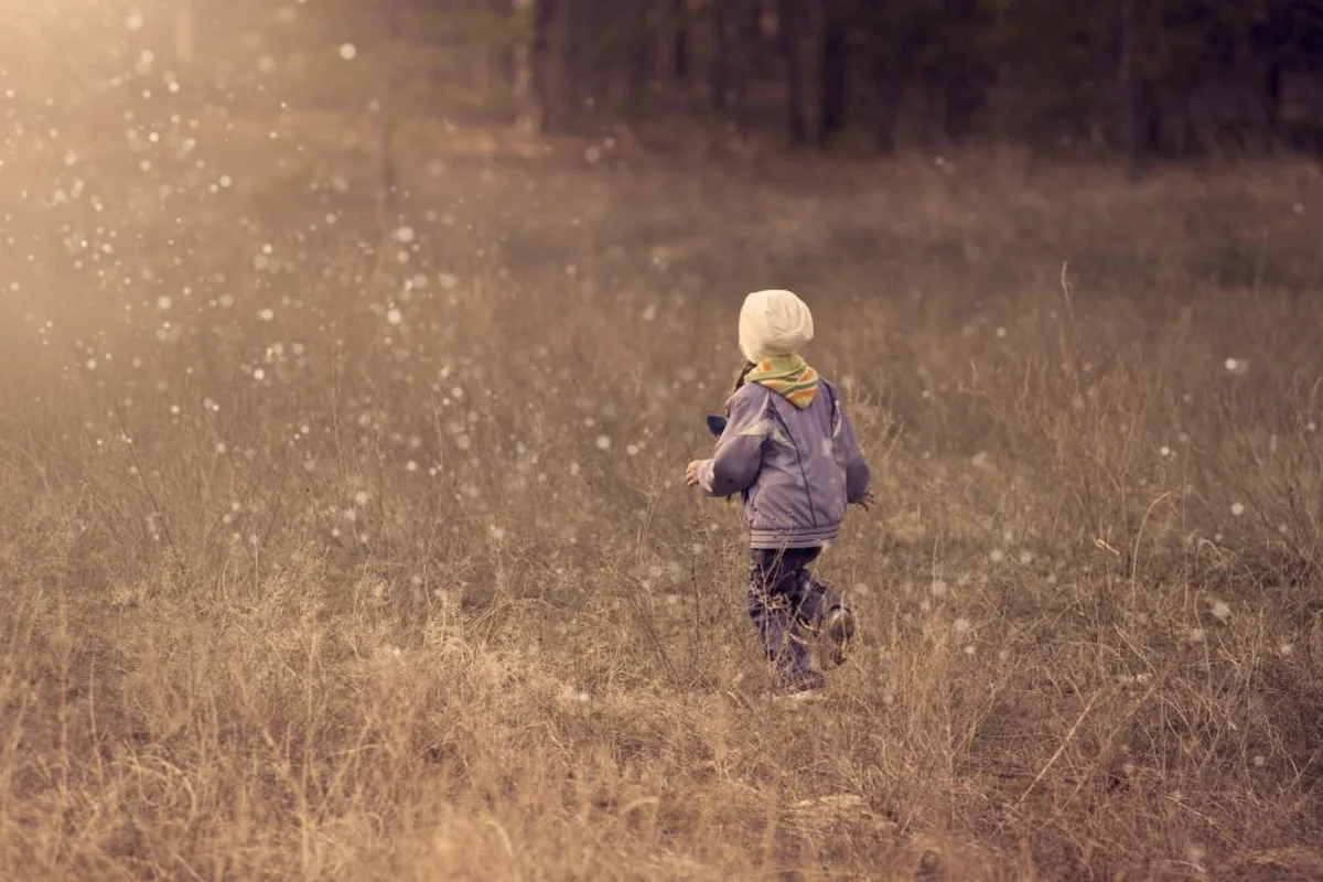 Niño pequeño con gorro y chaqueta caminando de espaldas, solo, por un prado de hierba seca