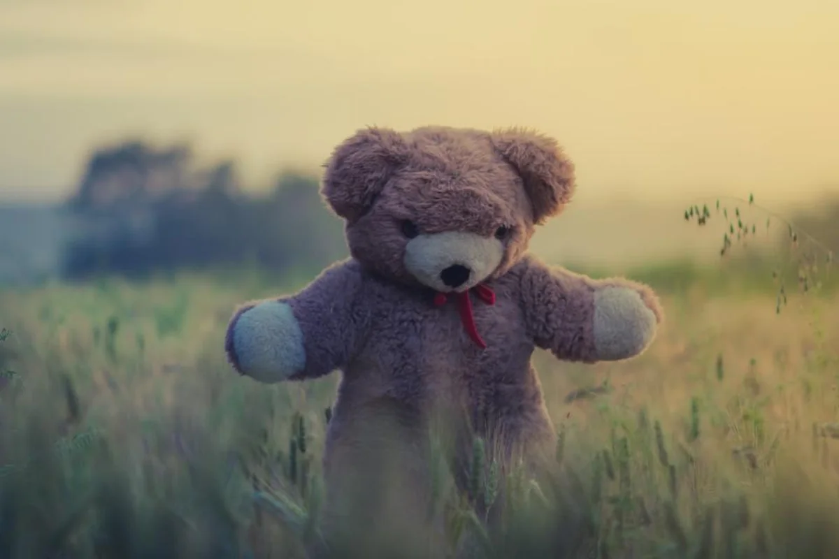 Osito de peluche marrón con un lazo rojo, de pie entre la hierba alta de un campo al atardecer