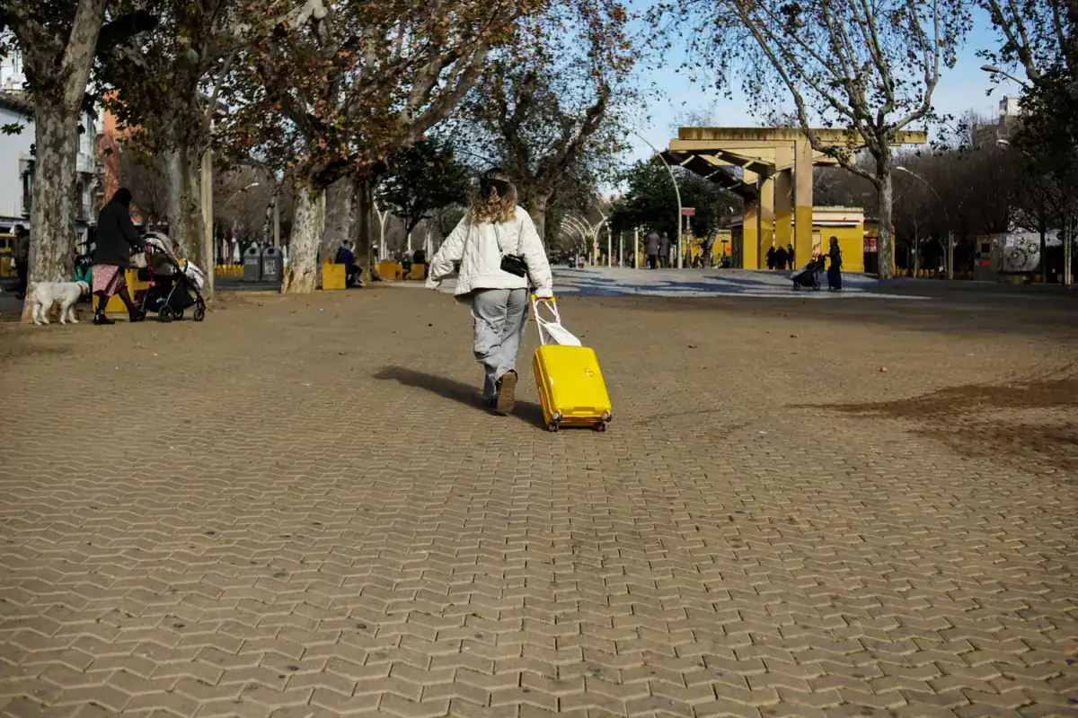 Persona de espaldas tirando de una maleta amarilla por un paseo amplio con árboles sin hojas, en un día soleado