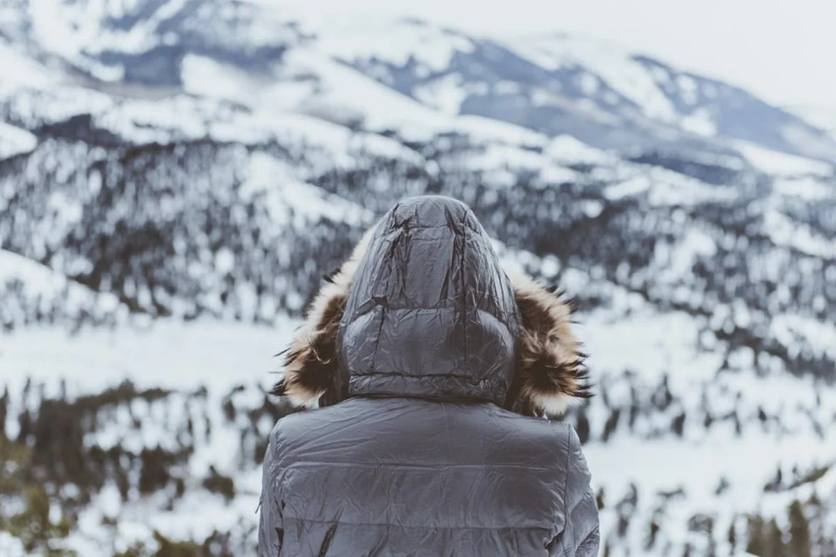 Una persona de espaldas con un abrigo gris con capucha mira un paisaje de montañas nevadas