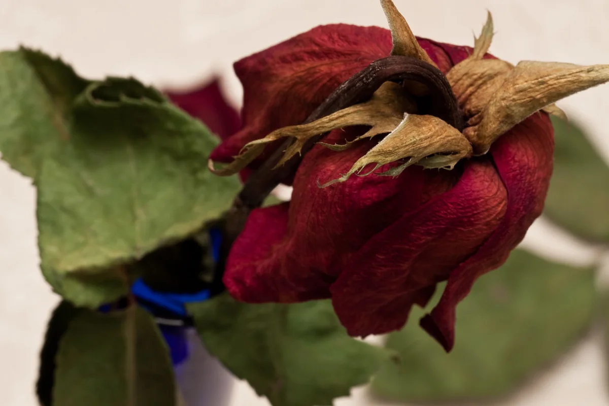 Señales de que tu relación necesita terapia de pareja