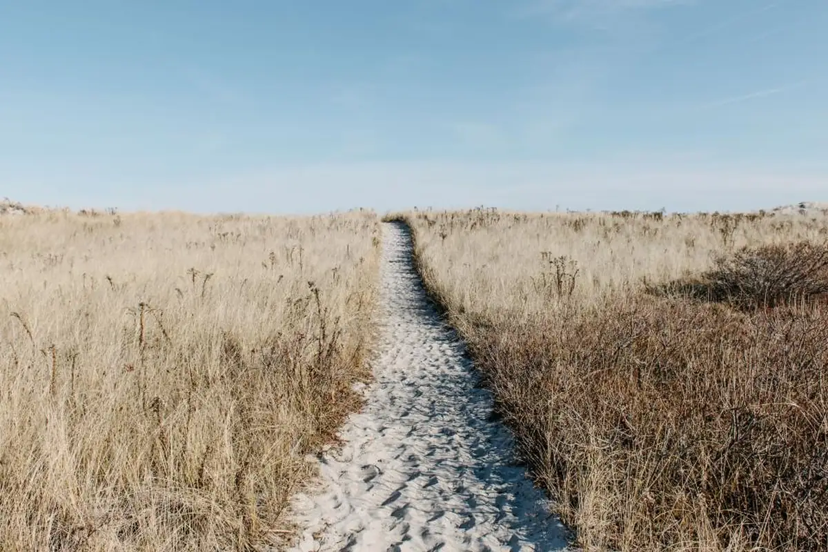 Un sendero estrecho de arena entre hierba seca que sube hacia el cielo azul, camino de la playa