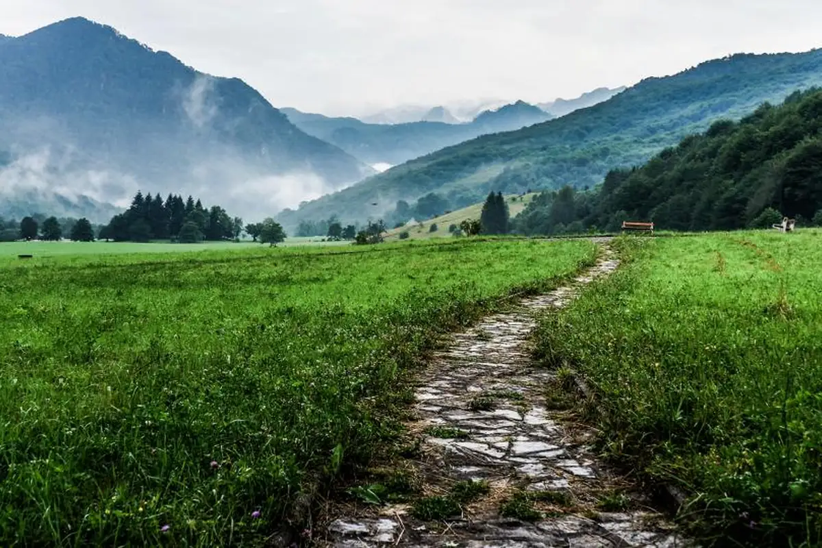 Un sendero de piedra atraviesa un prado verde en dirección a unas montañas boscosas cubiertas parcialmente de niebla