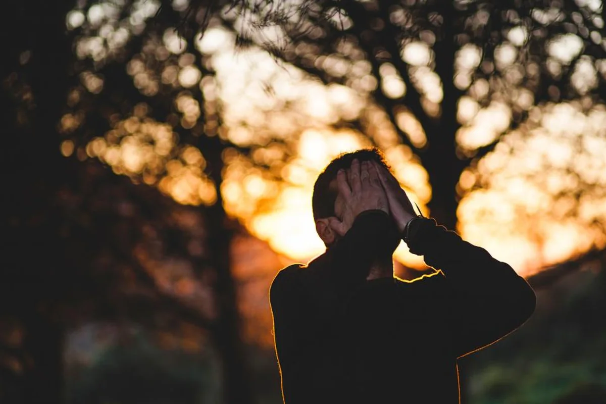 Silueta de una persona a contraluz con las manos en la cabeza, entre árboles y luz de atardecer
