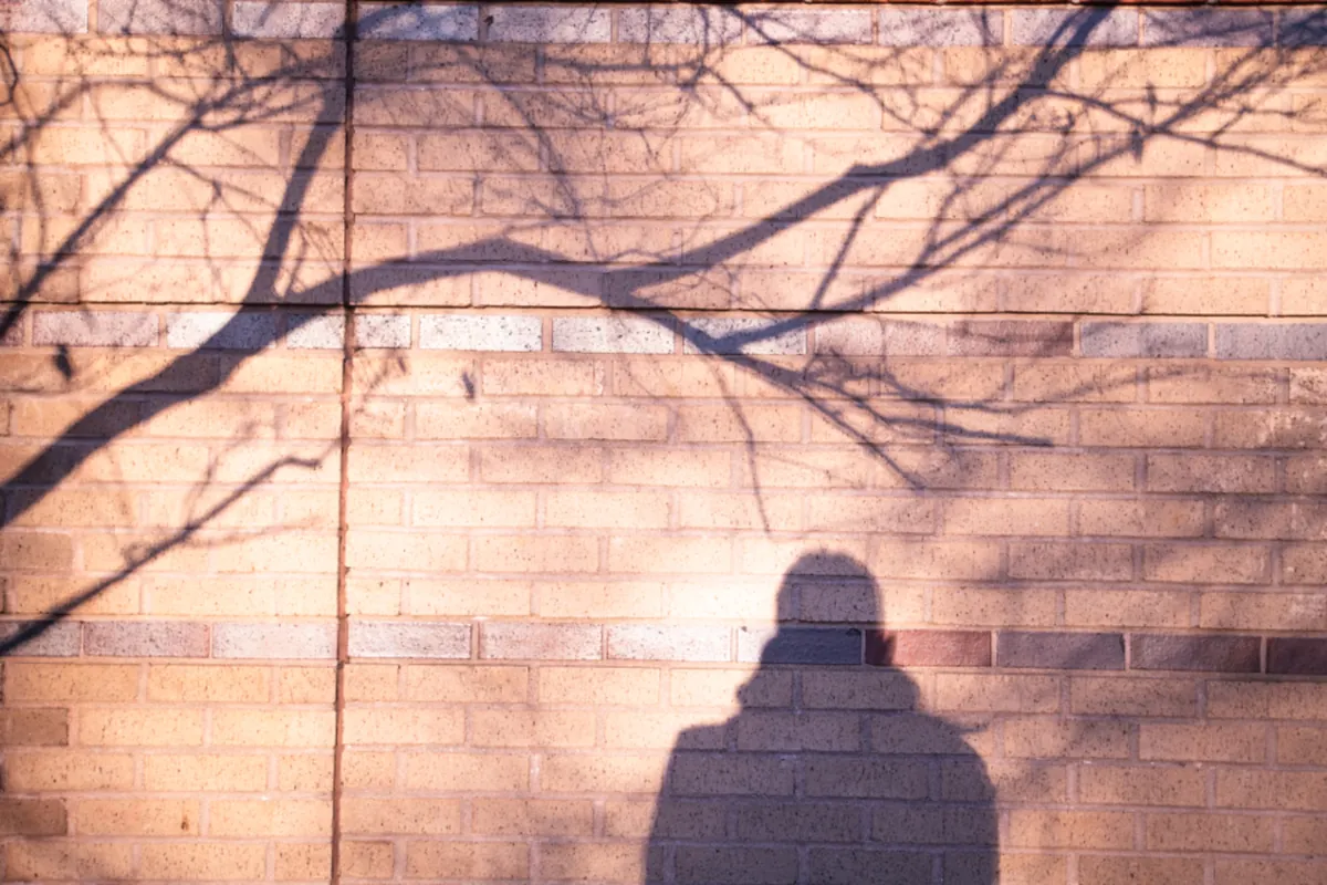 Sombra de una persona proyectada sobre un muro de ladrillo claro, junto a la sombra de las ramas desnudas de un árbol, con luz cálida de atardecer