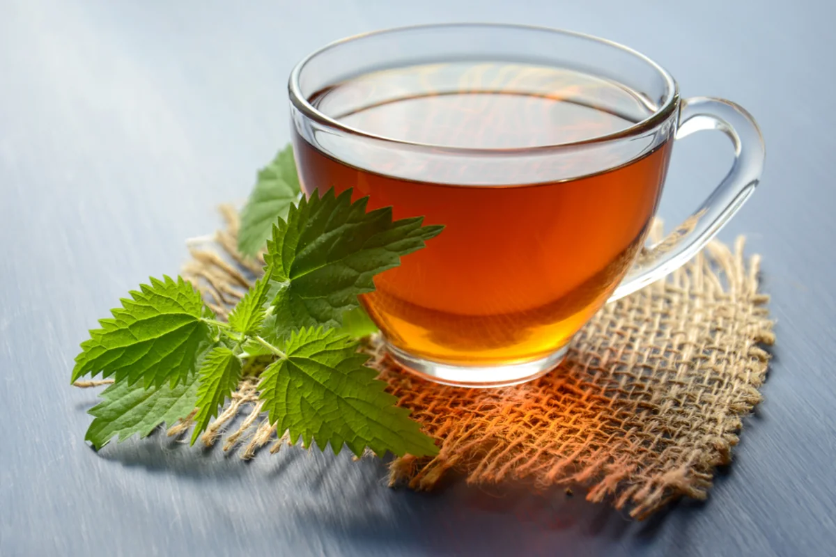 Taza de cristal con infusión junto a unas hojas verdes sobre un trozo de arpillera