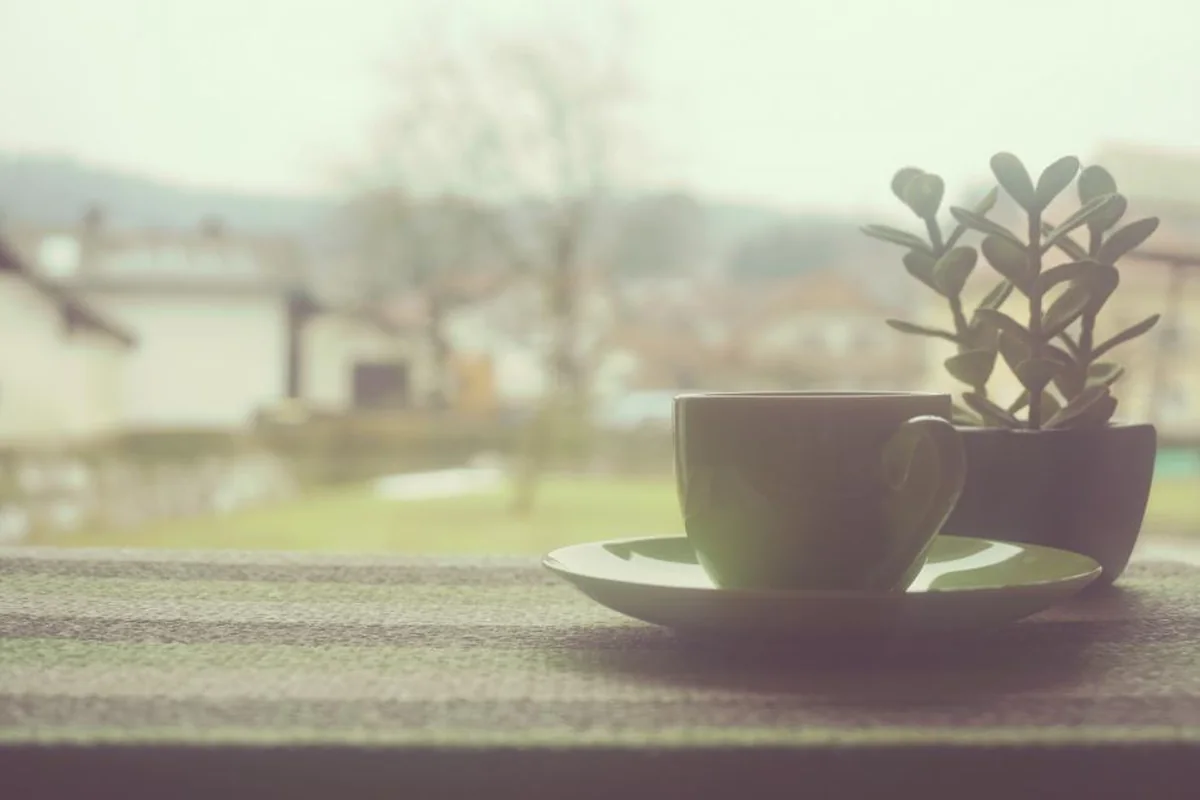 Taza con plato sobre el alféizar junto a una planta, con casas y árboles desenfocados al otro lado de la ventana