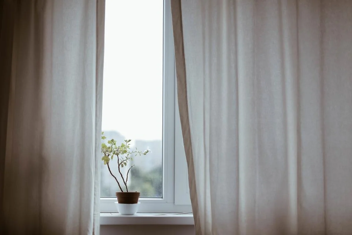 Ventana entre cortinas blancas con una pequeña planta en una maceta sobre el alféizar
