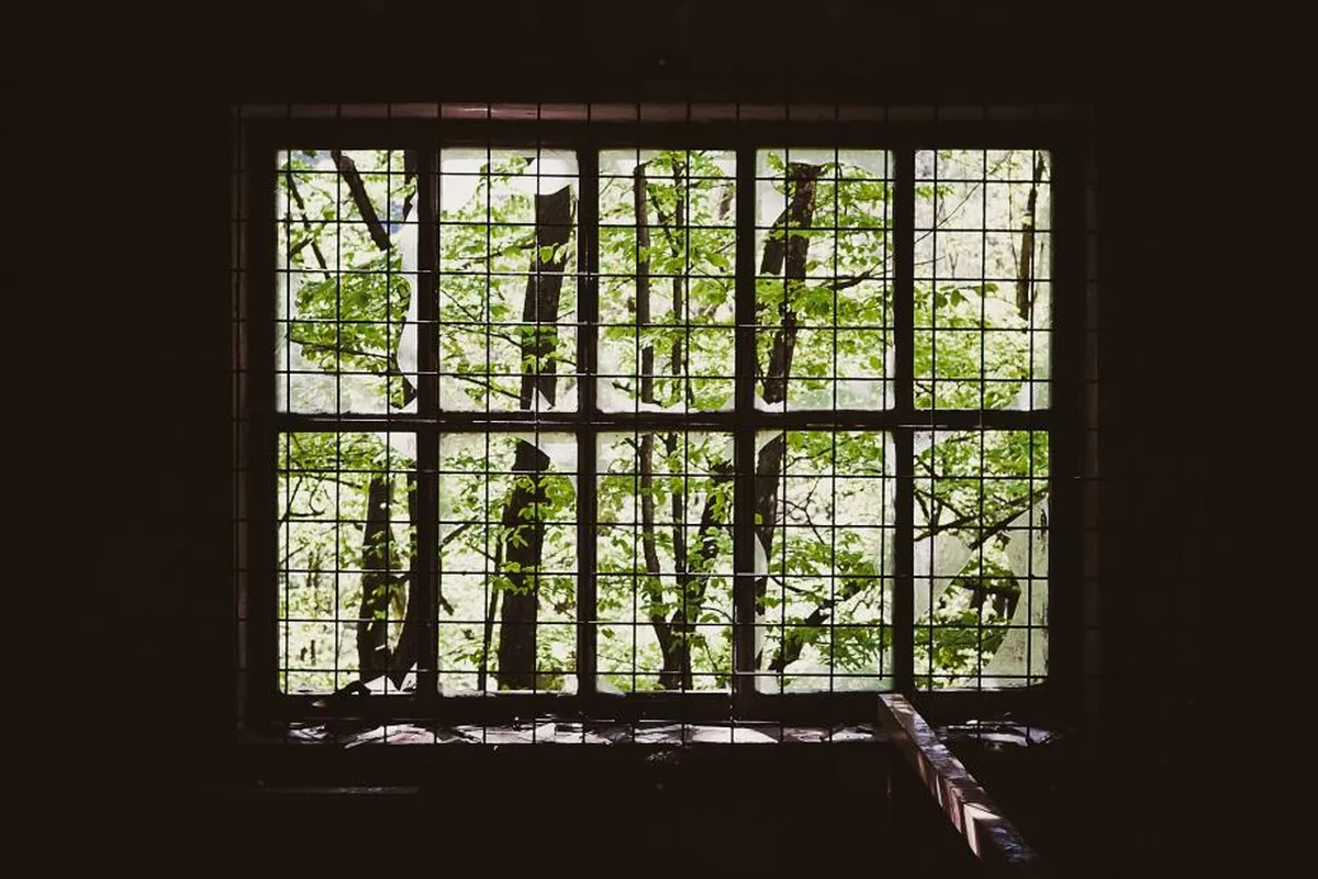 Ventana con una reja metálica de cuadrícula en una estancia a oscuras, con árboles de hojas verdes al otro lado del cristal