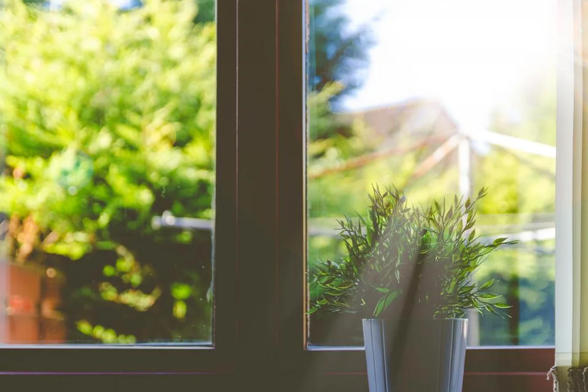 Ventana abierta a un jardín con árboles y una planta en una maceta junto al cristal iluminada por el sol